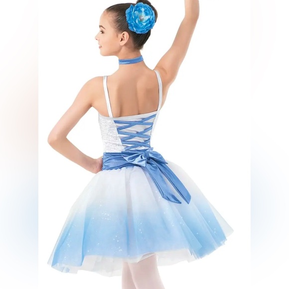 Weissman Small Adult The Great Secret White & Black/Dark Purple Ombre' Tutu - Picture 4 of 11